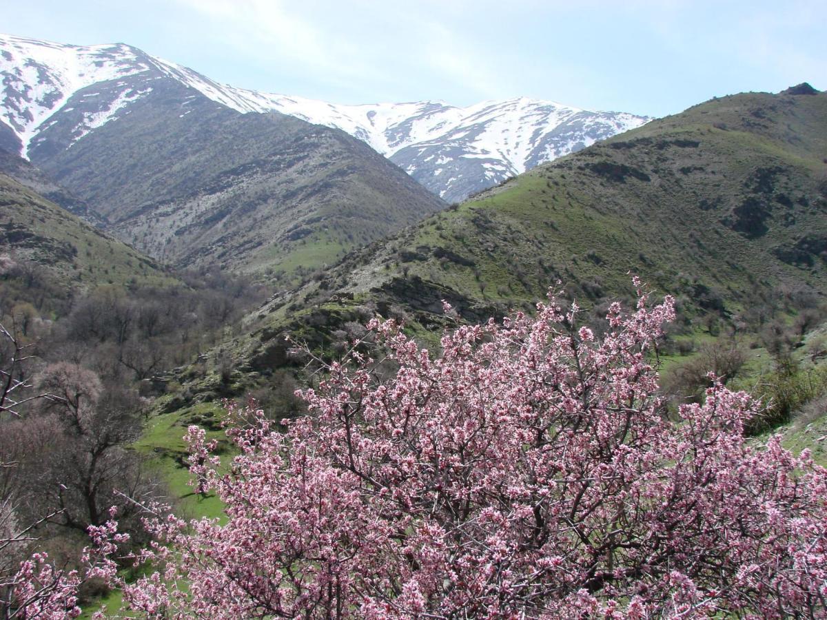Hayat Guesthouse Nuratau Mountains Yukary-Ukhum المظهر الخارجي الصورة