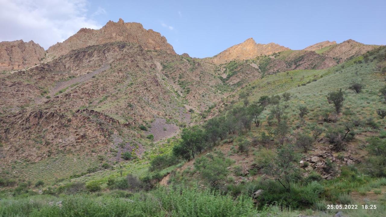 Hayat Guesthouse Nuratau Mountains Yukary-Ukhum المظهر الخارجي الصورة