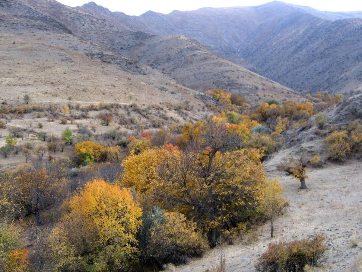 Hayat Guesthouse Nuratau Mountains Yukary-Ukhum المظهر الخارجي الصورة